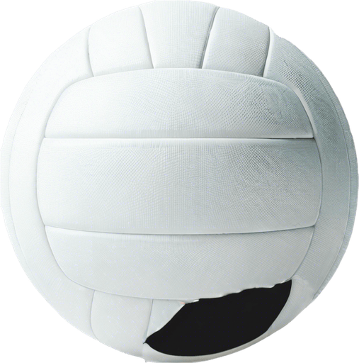 uniform volley ball