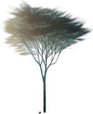 Photorealistic real bluesky. Looking from an empty park