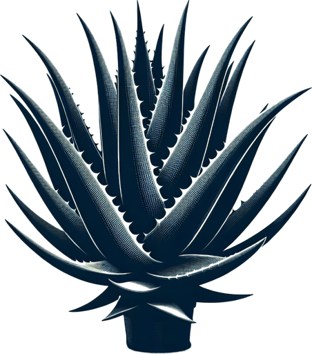 Aloe.
Single Game Texture.  In-Game asset.  2d.  Blank background.  High contrast.  No shadows