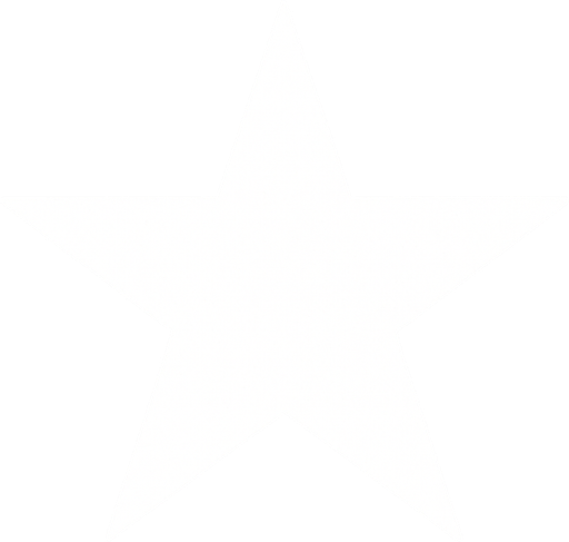 a white star.
In-Game asset.  2d.  High contrast.  No shadows
