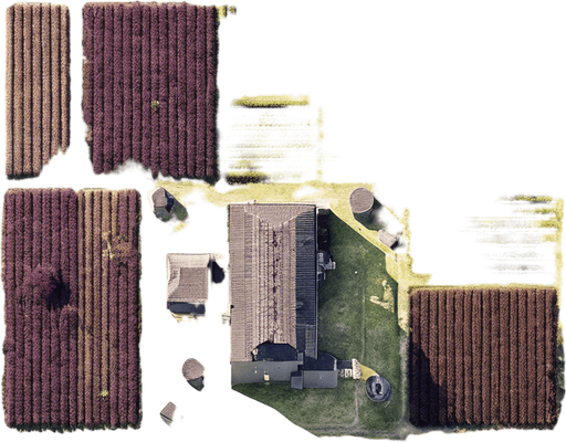 The same image, but in a lush green setting, where grass is growing in all the fields.