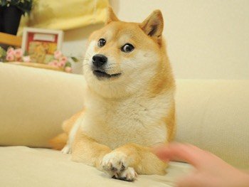 user-community-background
