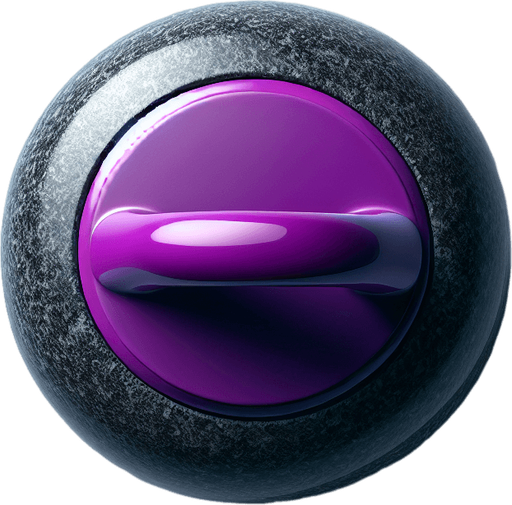 Black curlingstone with purple top, top view.