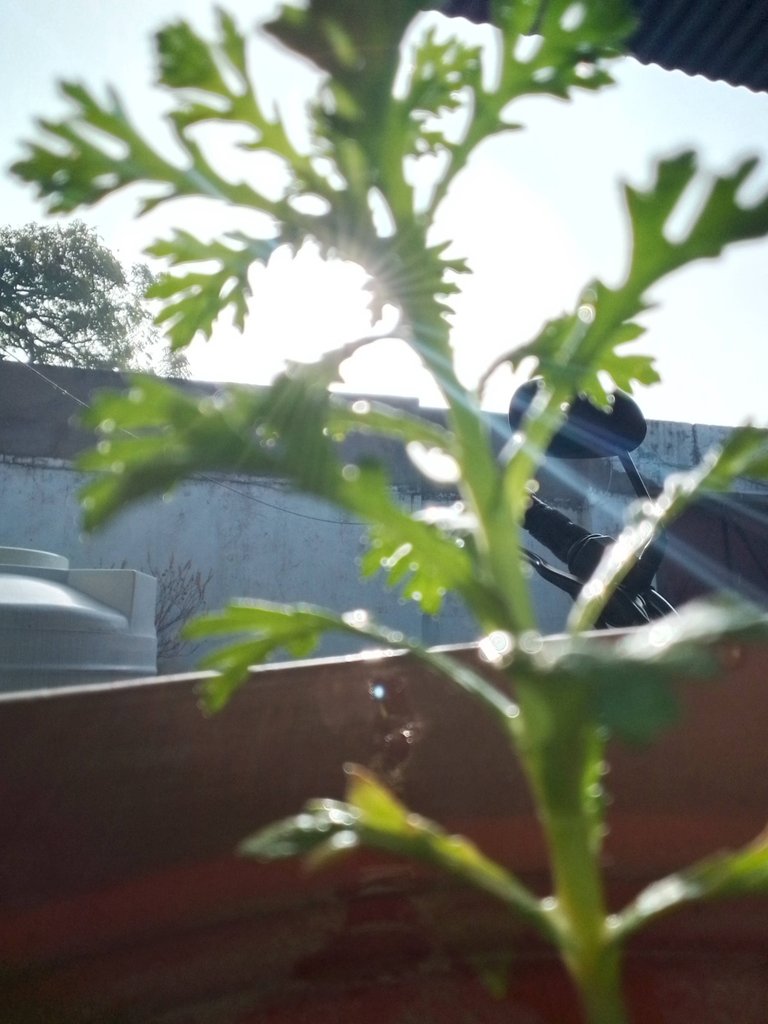 topic-community-background