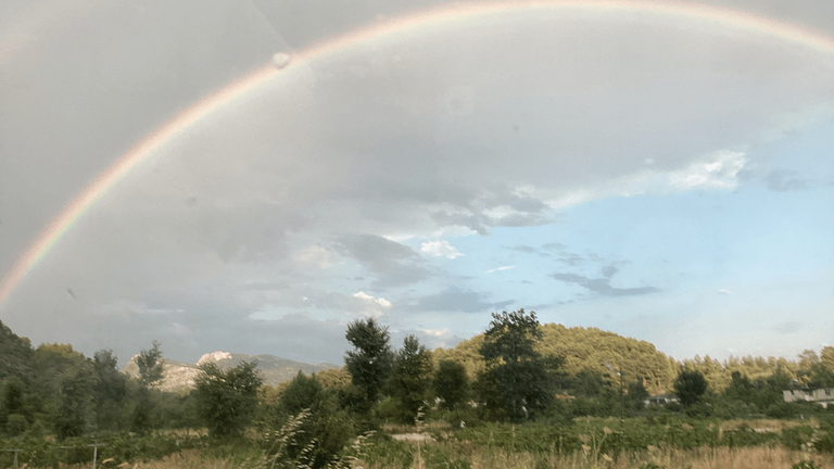 game-community-background