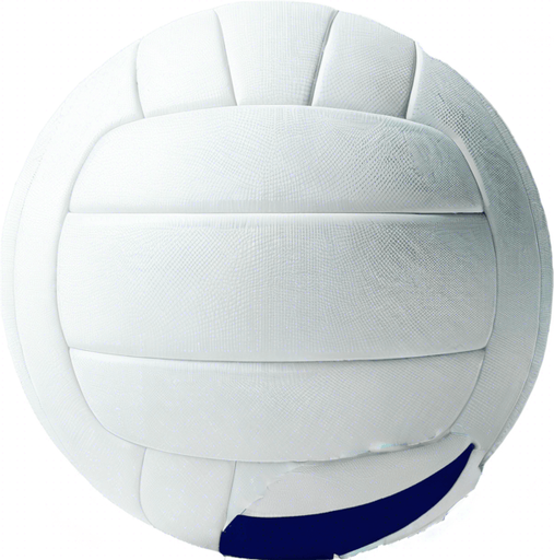 uniform volley ball
