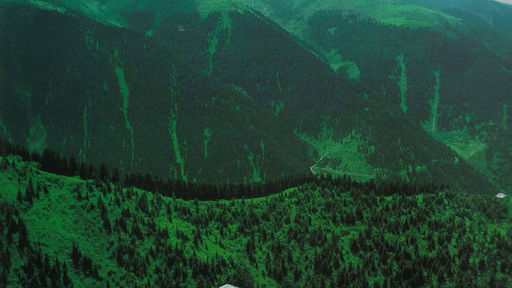 game-community-background