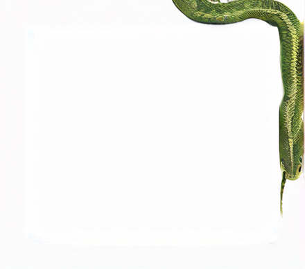 Some tree leafs and snakes.