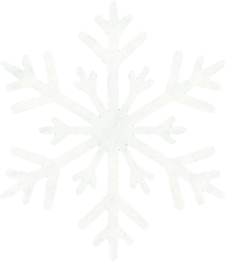 white snow flake
