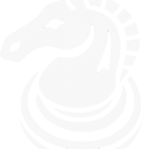 Şimdi içini beyaz renkle doldur