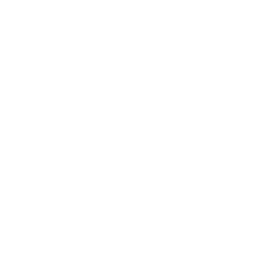 shield. No background. Transparent background. Blank background. No shadows. 2d. In-Game asset. flat