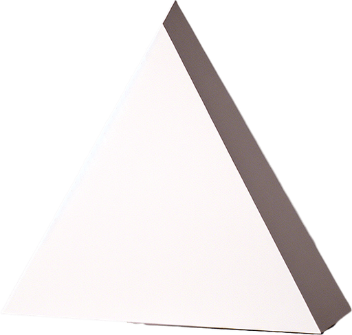 white triangle.