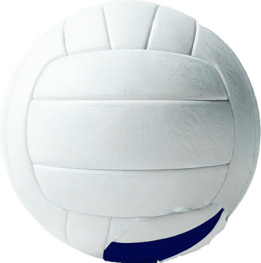 uniform volley ball