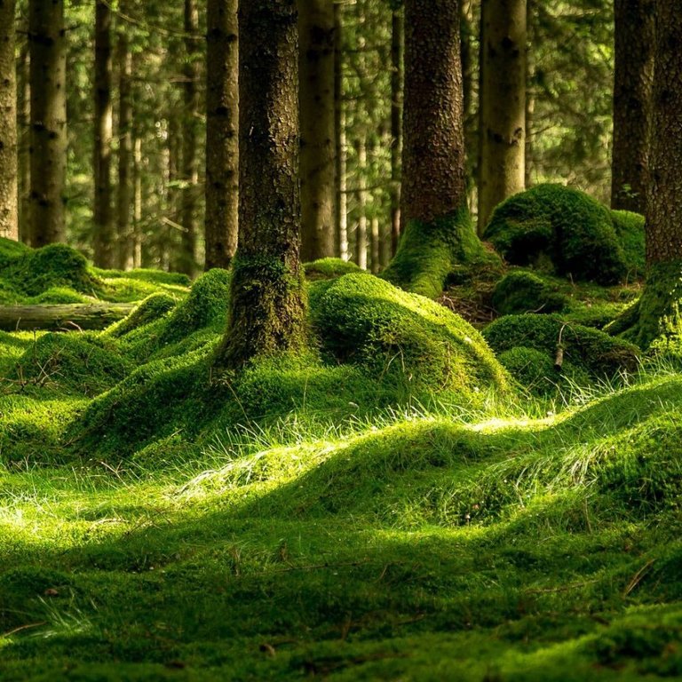 topic-community-background
