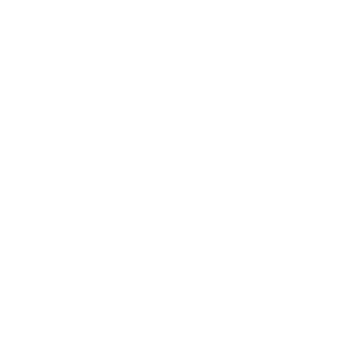 fighter 2. No background. Transparent background. Blank background. No shadows. 2d. In-Game asset. flat