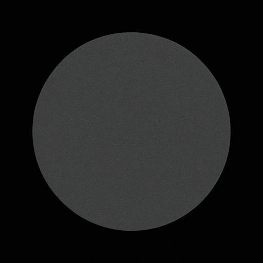 gri bir yuvarlak.
In-Game asset.  2d.  High contrast.  No shadows