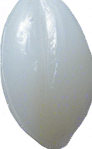 One white grain of rice