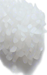 Long thin grain of rice