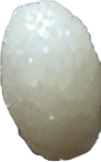 Long thin grain of rice