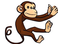 May you turn the monkey so it can seen from front?