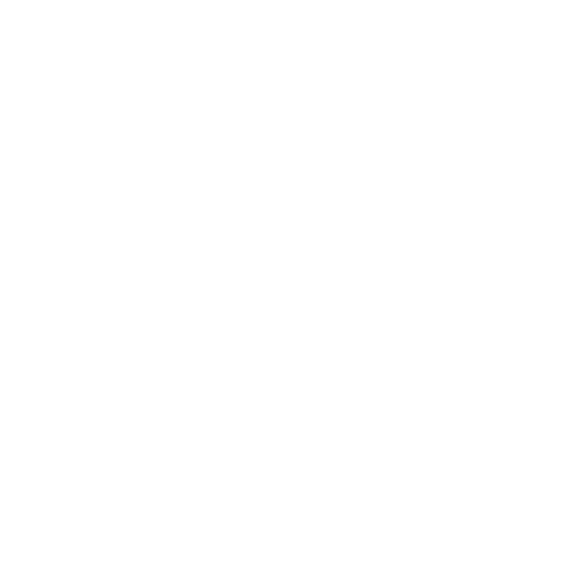 fighter 3
. No background. Transparent background. Blank background. No shadows. 2d. In-Game asset. flat