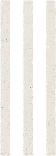 Ground asphalt white striped road.
In-Game asset.  2d.  High contrast.  No shadows