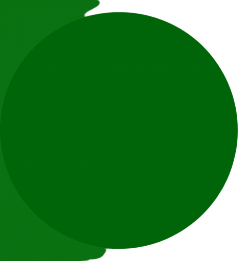make de circle with the same color that have inside
