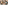 game-post-background