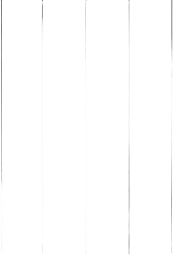 no perspective all parralel lines from birdswiew