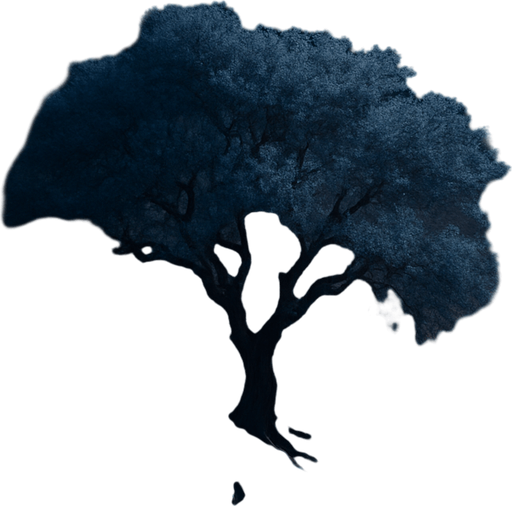 Photorealistic desert tree at night, bird view