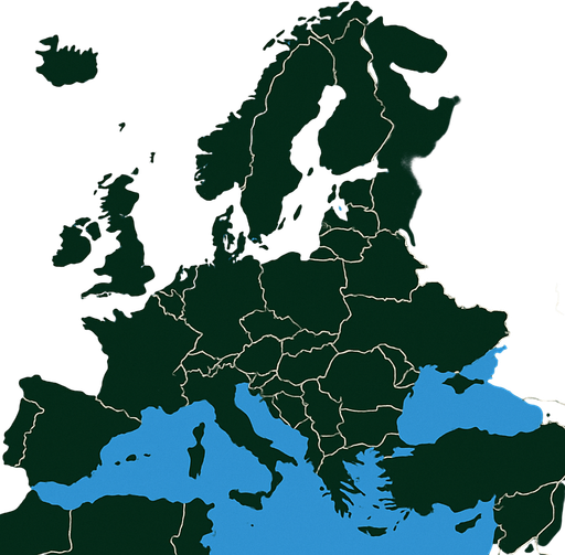 Map over Europe.
In-Game asset.  2d.  High contrast.  No shadows