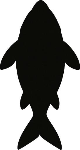 The dark shadow  silhouette of a fish. Top down view.
In-Game asset.  2d.  High contrast.  No shadows