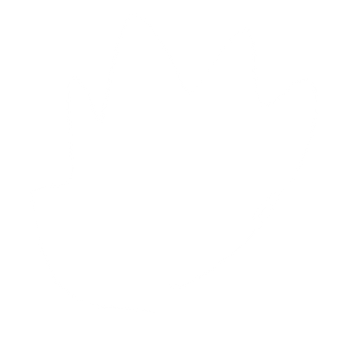 Fire bullet. No background. Transparent background. Blank background. No shadows. 2d. In-Game asset. flat