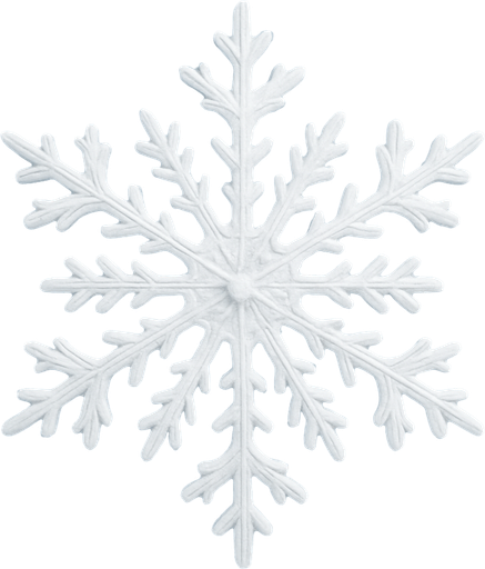 white snow flake