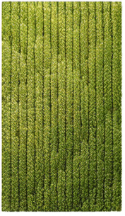 The same image, but where lush green grass is growing in the field.