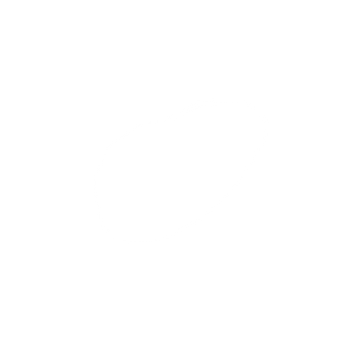 kiwi
. No background. Transparent background. Blank background. No shadows. 2d. In-Game asset. flat