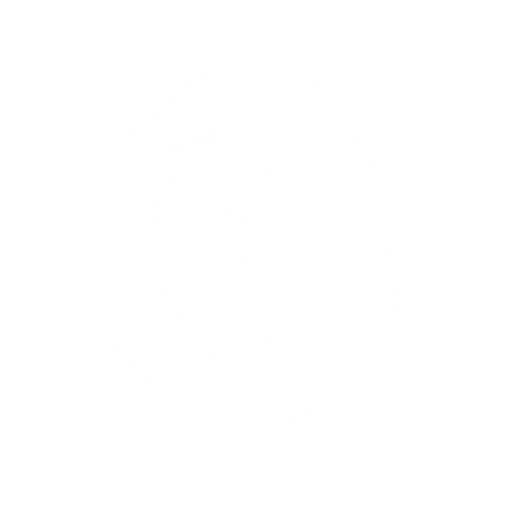 Madeni Para. No background. Transparent background. Blank background. No shadows. 2d. In-Game asset. flat