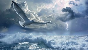 Soaring Over the Sea