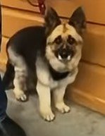 user-community-background