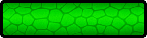 900x60 green health bar texture.
In-Game asset.  2d.  High contrast.  No shadows