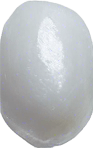 One white grain of rice