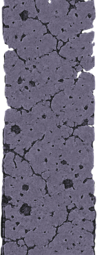 Overhead view of a section of road for an endless vertical shooter. Battle scarred and pitted. High res. degraded biome, dried dead trees and a gray stone pathway
Single Game Texture. In-game asset. 2d. Blank background. High contrast. No shadows. pixel art. purple biom
In-Game asset.  2d.  High contrast.  No shadows, high texture