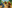 game-post-background
