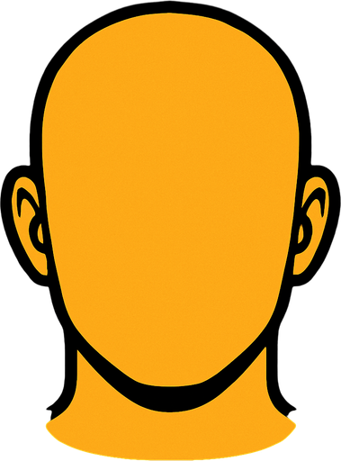 make a just face witout eyes and eyebrows and hairs and nose and mouth.
In-Game asset.  2d.  High contrast.  No shadows