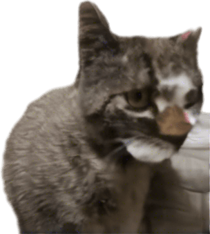 clean it up, it looks horrible