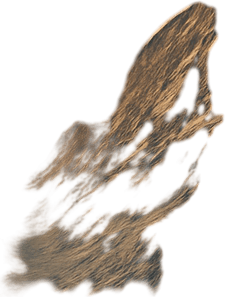 This place in very windy conditions