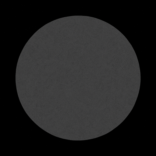 gri bir yuvarlak.
In-Game asset.  2d.  High contrast.  No shadows