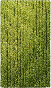 The same image, but where lush green grass is growing in the field.