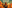 game-post-background