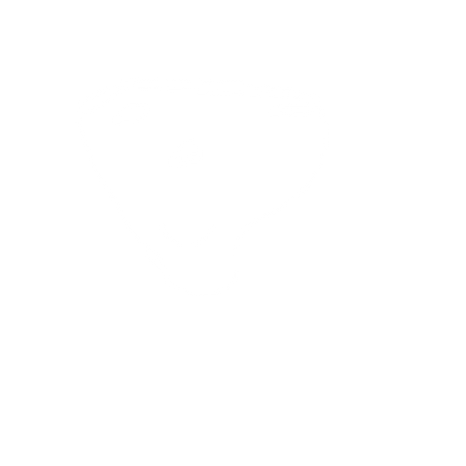 Character. No background. Transparent background. Blank background. No shadows. 2d. In-Game asset. flat